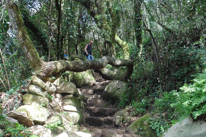 Private Day Tour from the Centre to the Highest Point in Sintra. - FAQ