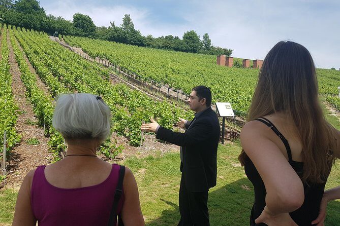 Private day tour in Champagne - Who Will Love This Tour?