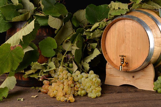 Private Day Tour & Lunch: Parmesan, Wine, and Vinegar Tasting - FAQ