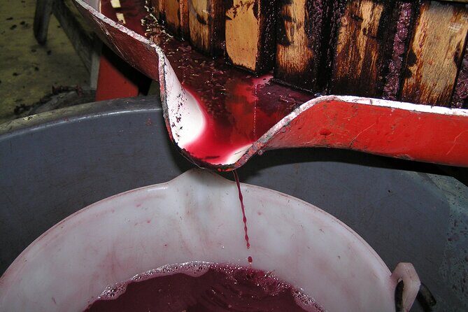 Private Day Tour: Napa Valley Wine Tasting from San Francisco - 6hrs - The Booking and Practical Details