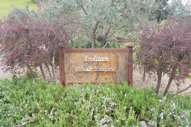 Private Day Tour: Napa Valley Wine Tasting from San Francisco - 6hrs - Who Will Enjoy This Tour?