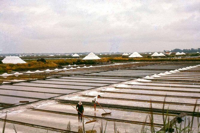 Private day tour of Coimbra and Aveiro from Lisbon - Who Should Consider This Tour?