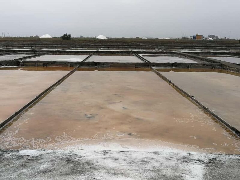 Private day tour of Olive Oil , Salt Flats and Winery - Key Points