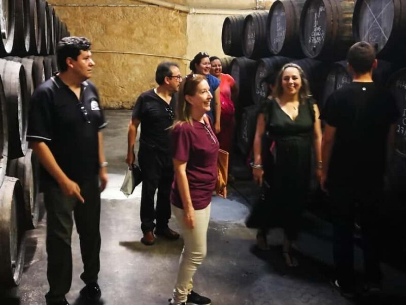 Private day tour of Olive Oil , Salt Flats and Winery - A Practical Breakdown of the Tour