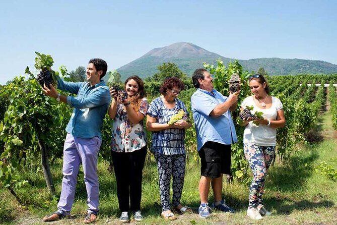 Private day tour: Sorrento, Positano, Amalfi and Ravello. - Authentic Experiences from Guests