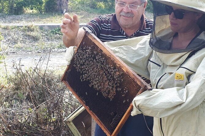 Private Day Tour to Historical Villages in Sinaia - What Makes This Tour Stand Out?