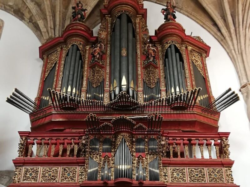 Private Day Tour University Coimbra & Convent Christ Tomar - FAQs About the Tour