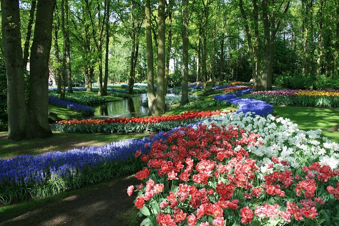 Private Day Trip from Amsterdam to Keukenhof with Entrance Tickets - An Honest Look at the Keukenhof Private Day Trip