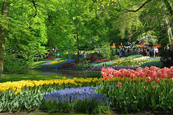 Private Day Trip from Amsterdam to Keukenhof with Entrance Tickets - Final Thoughts