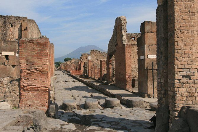 Private Day trip from Rome to Pompeii with official guide inside Ruins - The Value Proposition