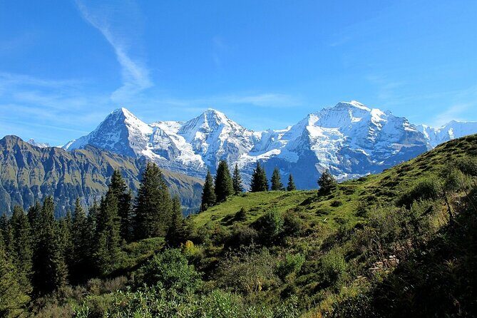 Private day trip from Zurich to Grindelwald, Interlaken and back - What the Reviews Say