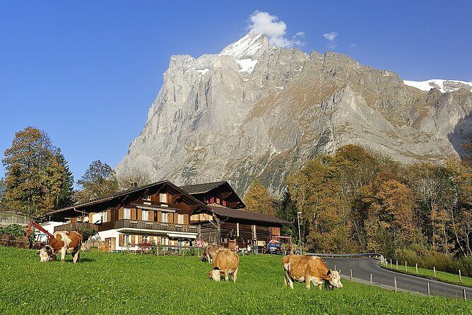 Private day trip from Zurich to Grindelwald, Interlaken and back - Final Thoughts: Is This Tour Right for You?