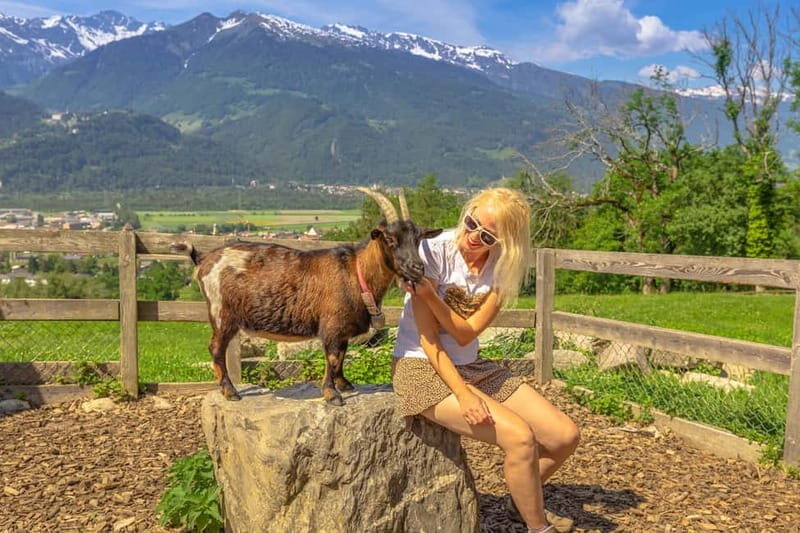 Private day trip from Zurich to Heidiland and Vaduz - What This Tour Offers: A Closer Look