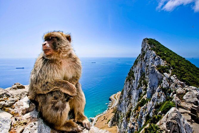 *Private Day Trip* Gibraltar & Bolonia from Cádiz - In-Depth Look at the Itinerary and Experience