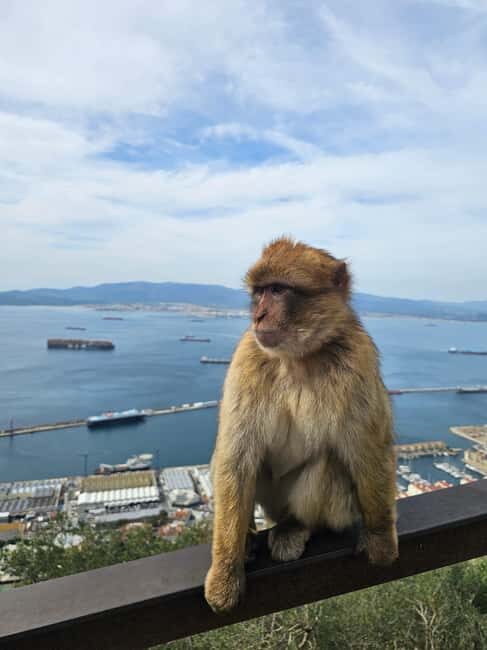 Private Day Trip: Gibraltar & (Tangier) Morocco from Seville - Key Points
