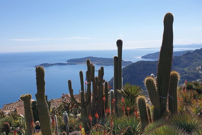 Private Day Trip Italian Riviera - The Allure of a Private Guided Day Trip