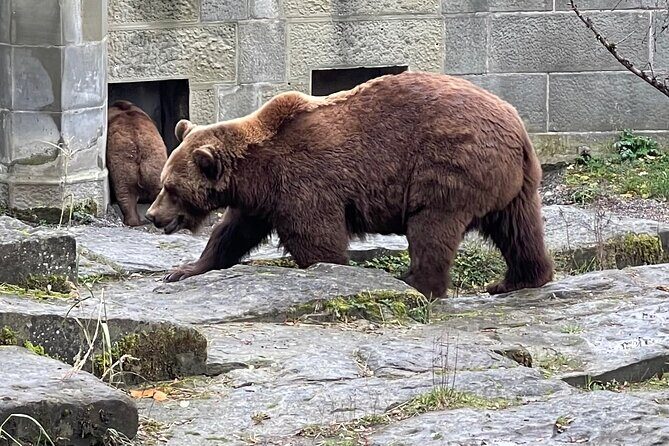 Private day trip to Bern from Geneva - Who Is This Tour Best For?
