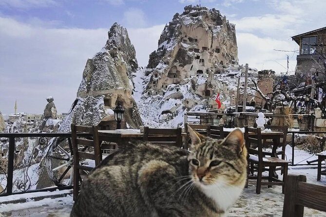 Private Day Trip to Cappadocia from Istanbul - The Practicalities