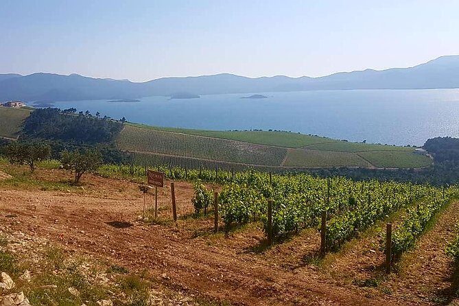 Private Day Trip to Dubrovnik from Split - Final Thoughts