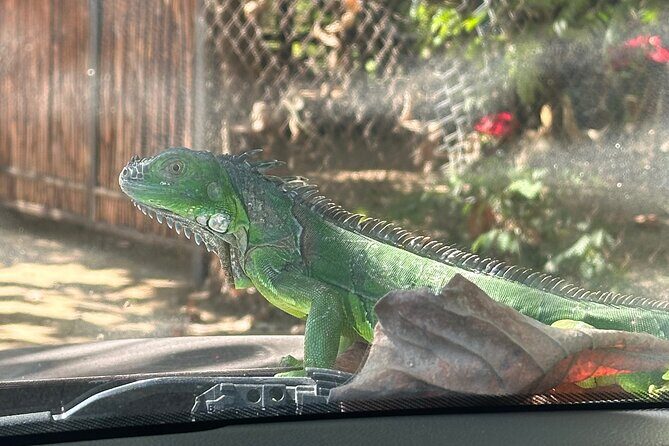 Private Day Trip to Mazunte and Zipolite - Key Points