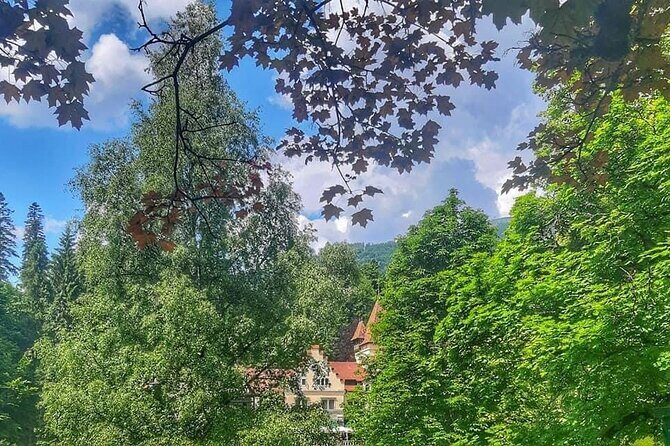 Private Day Trip to Peles Palace, Dracula's Castle and Brasov - The Journey Through Romania’s Highlights