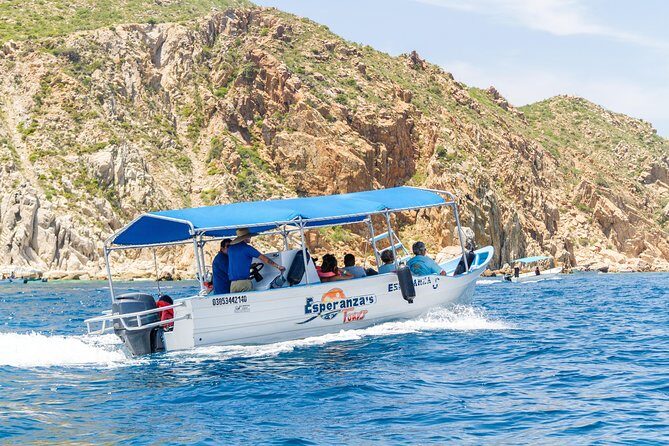 Private Day Trip to San José & Cabo San Lucas - What the Tour Offers: An In-Depth Look