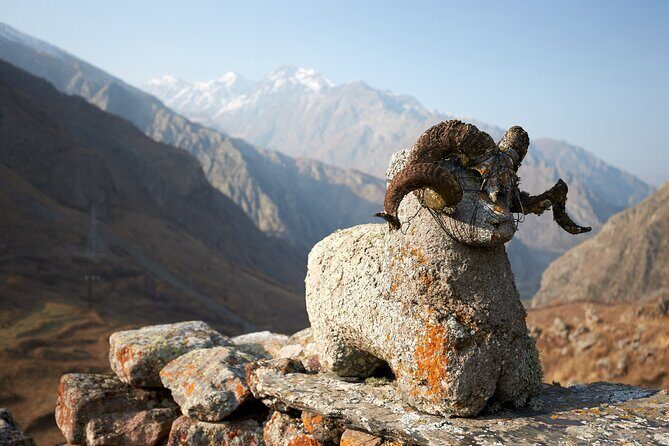 Private day trip to the Caucasus mountains and the Russian border - Final Thoughts: Who Is This Tour Best For?