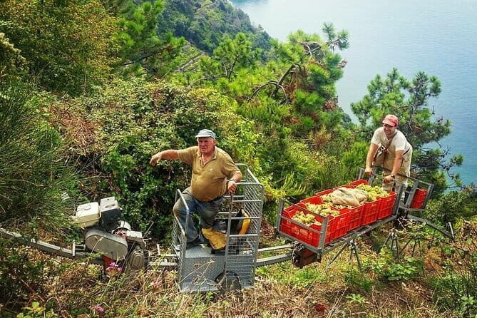 Private Day Trip to the Cinque Terre from Florence - The Price: Is It Worth It?