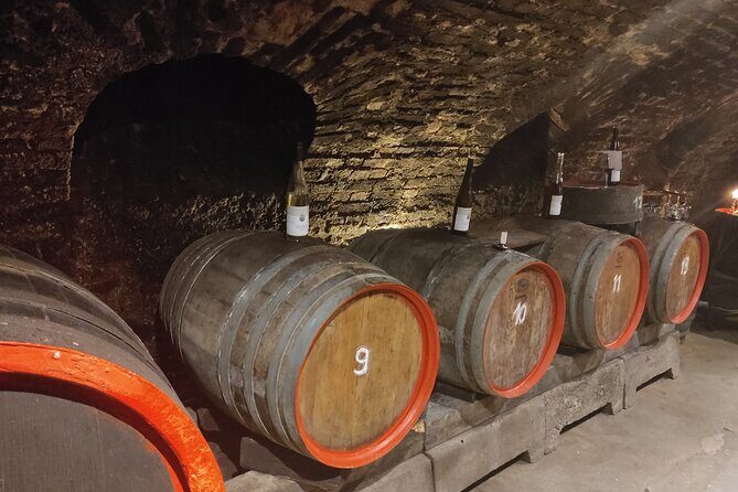 Private day trip to the Romantic Rhine Valley with river cruise and wine tasting - Who Will Appreciate This Tour?