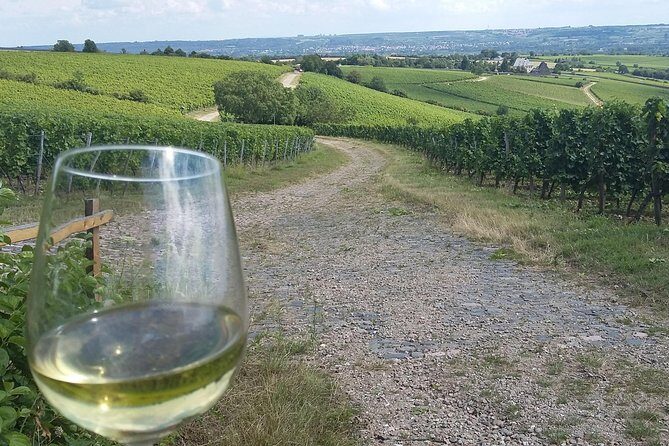 Private day trip to the Romantic Rhine Valley with river cruise and wine tasting - FAQs