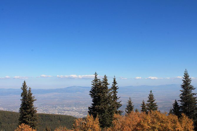 Private Day Trip to the Vitosha Mountain and Pancharevo Lake - What the Reviews Say