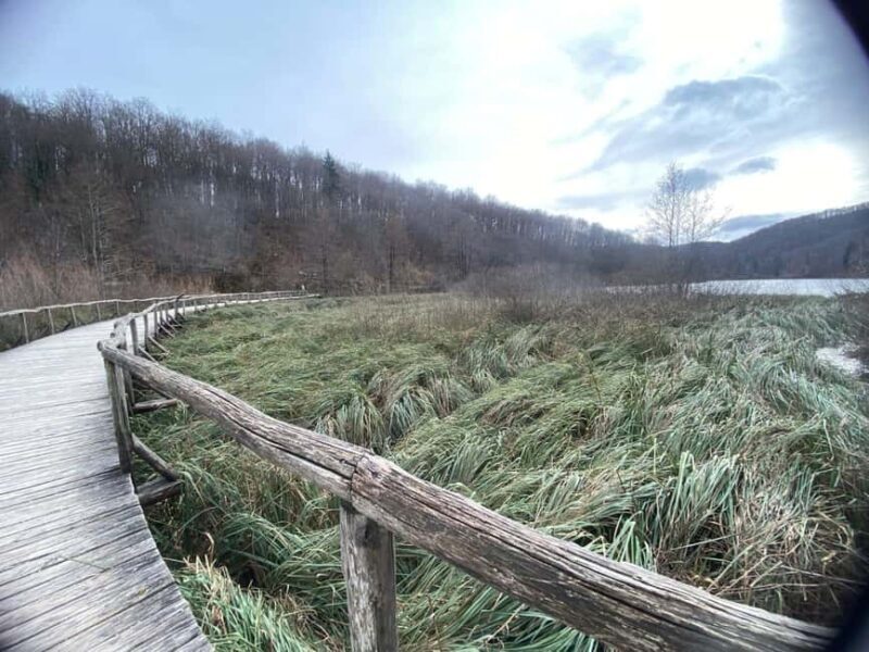 Private Day Trip Zagreb-Plitvice Lakes National Park - Who Should Consider This Trip?