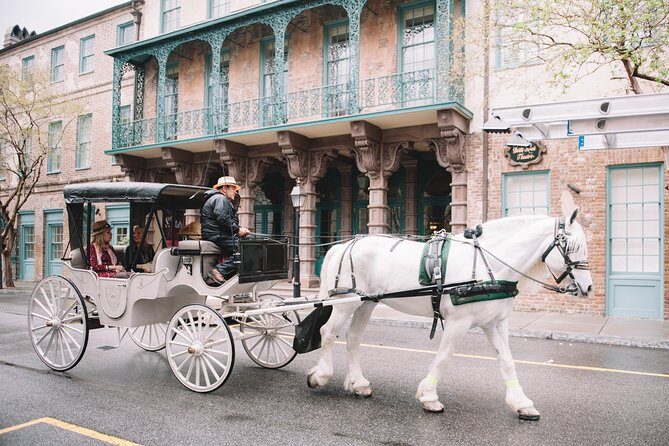 Private Daytime Horse-Drawn Carriage Tour of Charleston - Exploring the Details of the Tour