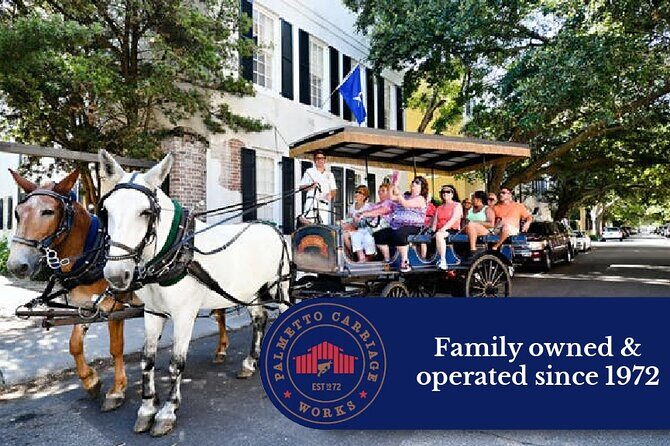 Private Daytime Horse-Drawn Carriage Tour of Charleston - The Experience and What Travelers Say