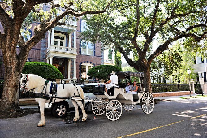 Private Daytime Horse-Drawn Carriage Tour of Charleston - The Practicalities