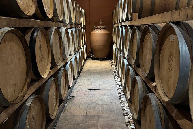 Private Daytrip for Truffle Mushroom Foraging and Wine Tasting - FAQ