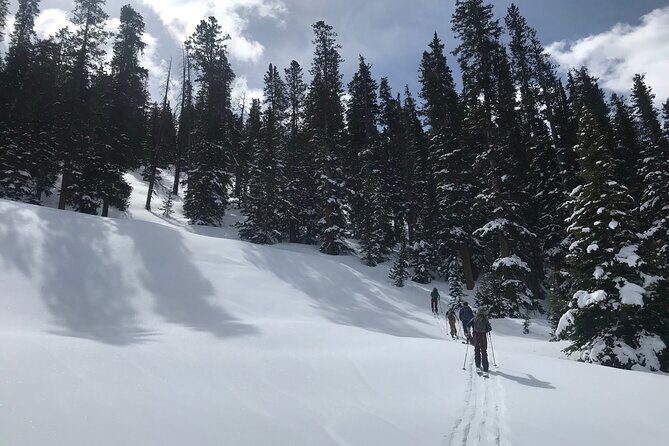 Private Denver International Airport Transfer to Vail or Beaver Creek - An In-Depth Look at the Private Transfer Experience