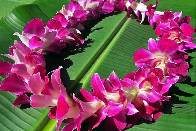 Private Departure Transfer: Big Island Hotels to Kona International Airport - What This Transfer Offers in Detail