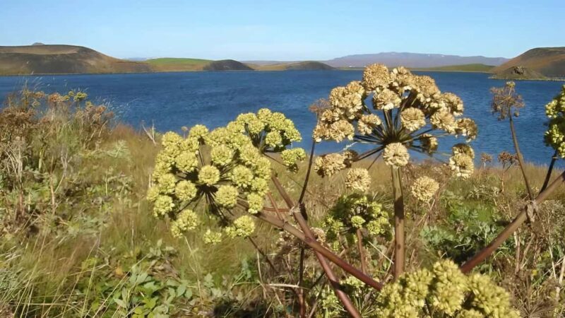 Private Diamond Circle Tour from Akureyri - Potential Drawbacks