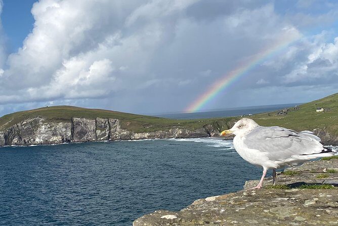 Private Dingle and Slea Head - Deep Dive into the Itinerary