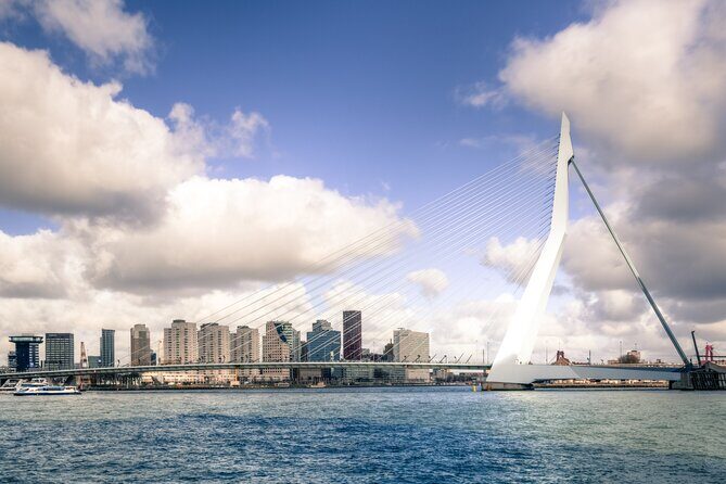 Private direct transfer from Amsterdam to Rotterdam - The Vehicle Options and Group Sizes