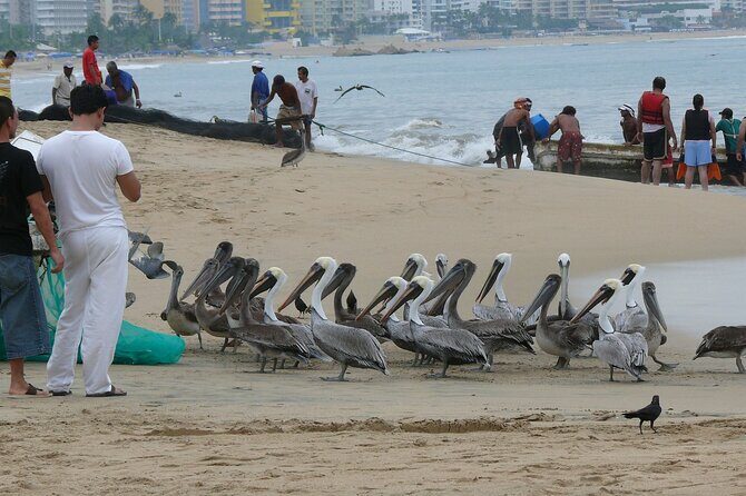 Private Direct Transfer From Mexico City to Acapulco - Who Should Consider This?