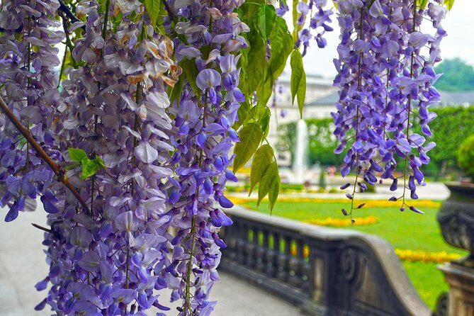 Private direct transfer from Munich Airport to Salzburg - Price and value assessment