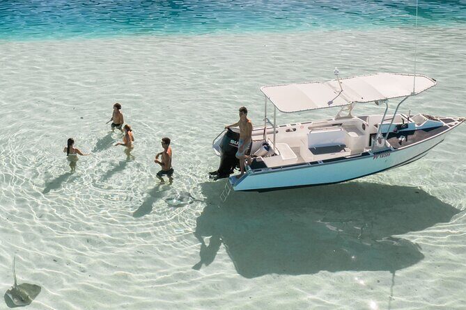 Private Discovery of the Marine Fauna of Moorea - Exploring the Marine Fauna of Moorea: An Honest Look at this Private Boat Tour