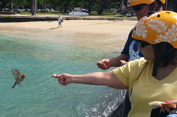 Private Dole,Garlic Shrimp, N.Shore, Haleiwa, Customizable tour - FAQs