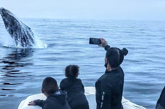 Private Dolphin and Whale Watching Tour in Newport Beach - Final Thoughts
