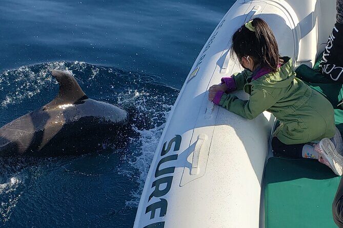 Private Dolphin and Whale Watching Tour in Newport Beach - FAQ