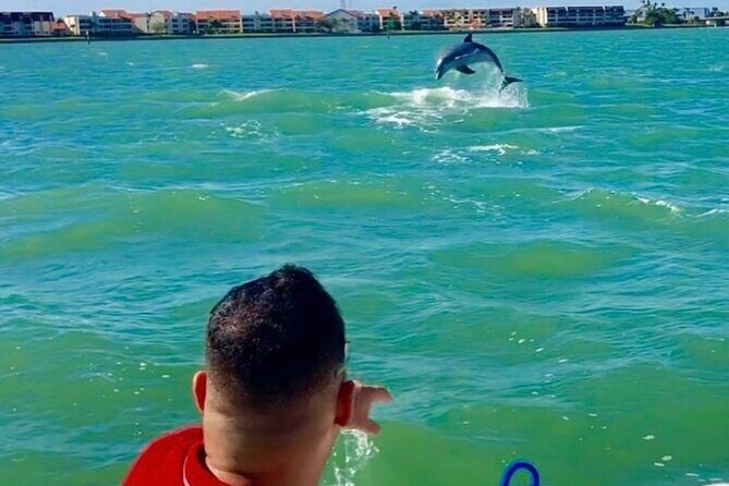 Private Dolphin & Architecture Tour in St. Petersburg, Fl - The Experience from Reviews