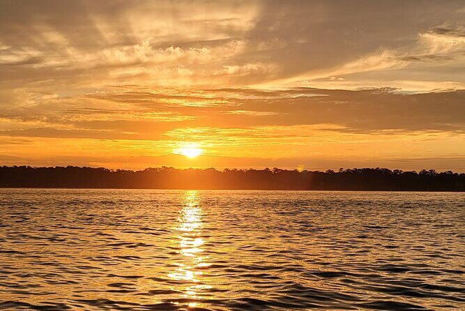 Private Dolphin Boat Tour in Hilton Head Island - What to Expect from the Hilton Head Dolphin Boat Tour