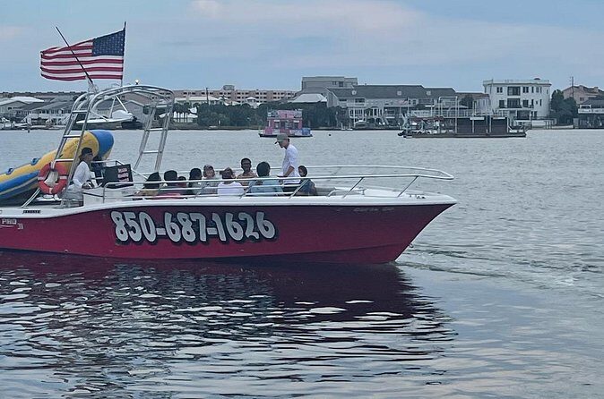 Private Dolphin Cruise - Who Is This Tour Best For?